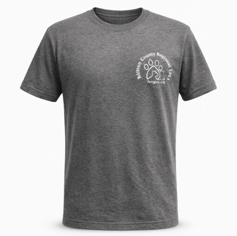 Product Description: ๐ฉถ Grey Short Sleeve Tee</br>Keep it classic with this versatile grey T-shirt featuring the Regional logo on the left chest. Made from a durable 50% cotton, 50% polyester blend, it’s perfect for everyday wear. Available in multiple sizes.</br></br>Original Price: $15. Sale Price: $5(66% off!)</br> Short Sleeve T-Shirt - Grey